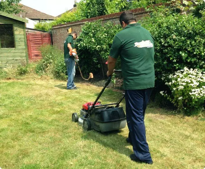 MRLandscapes- Garden Maintenance